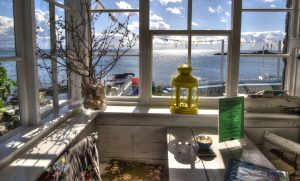 The Rock Pool in mousehole